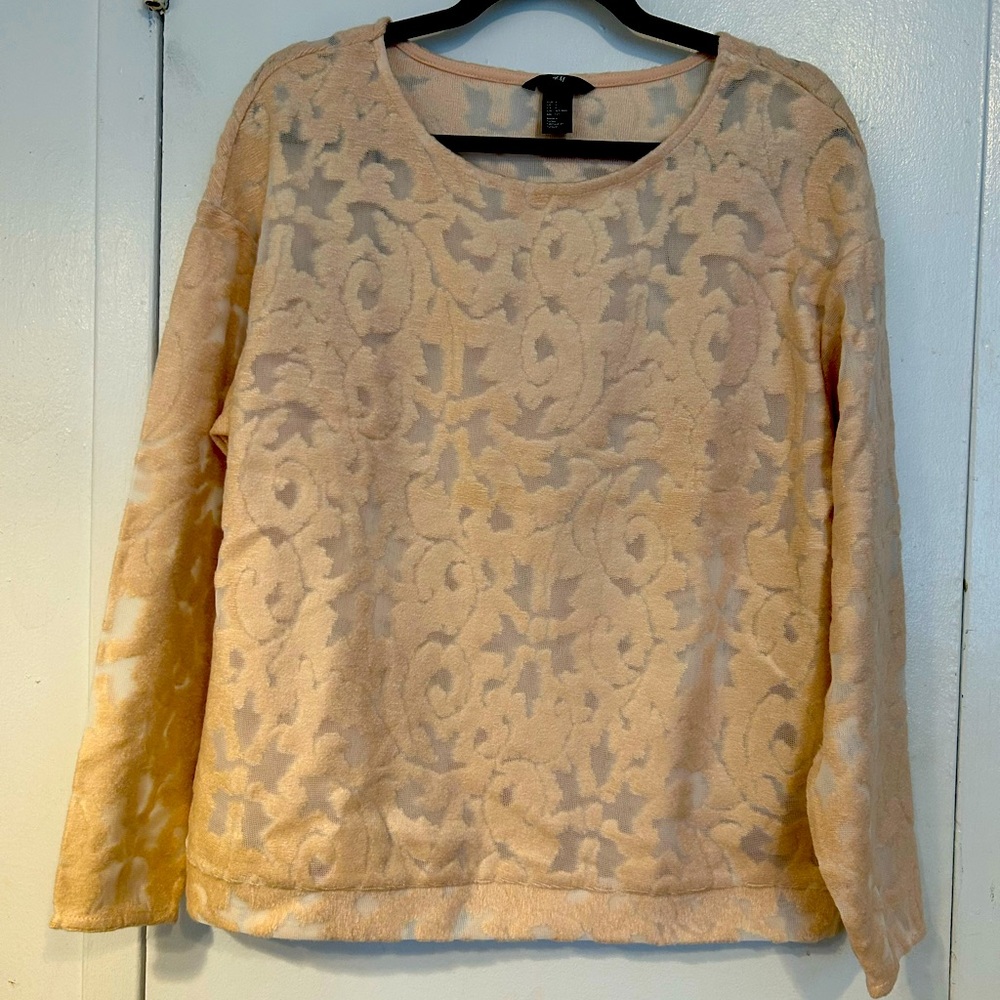 H&M Flower Embroidered Mesh Full Sleeve Top in Soft Pink
